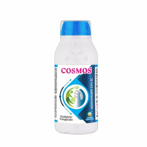 cosmos