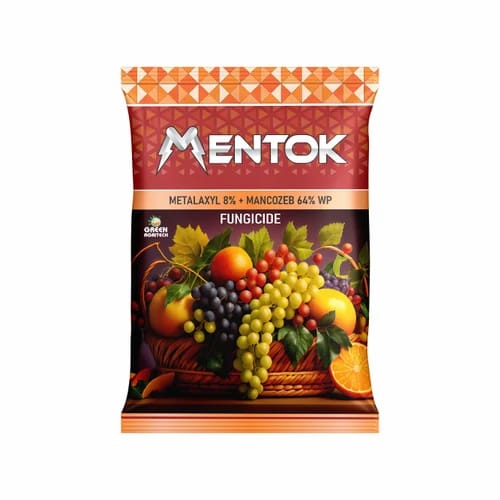 mentok
