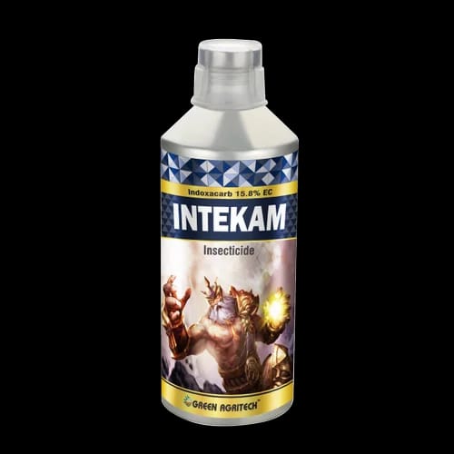intekam